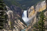 Canyon Falls Postcard